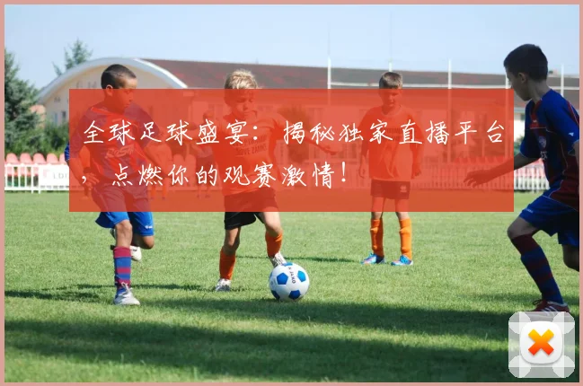 全球足球盛宴：揭秘独家直播平台，点燃你的观赛激情！