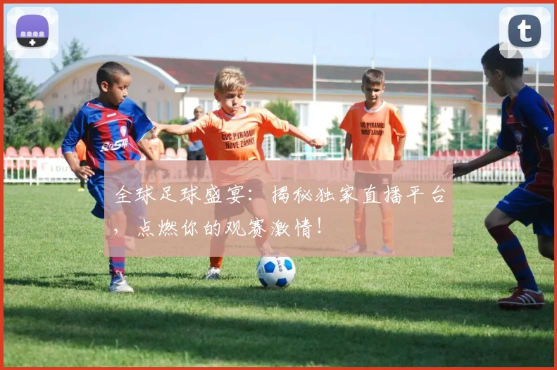 全球足球盛宴:揭秘独家直播平台,点燃你的观赛激情!