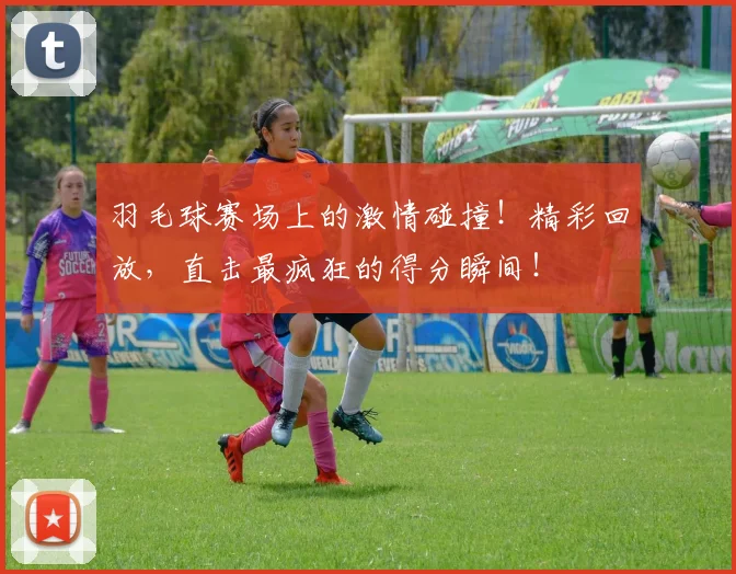 羽毛球赛场上的激情碰撞!精彩回放,直击最疯狂的得分瞬间!